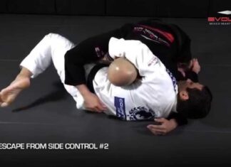 Escapes de 100 Kilos