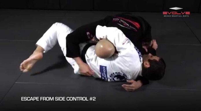 Escapes de 100 Kilos